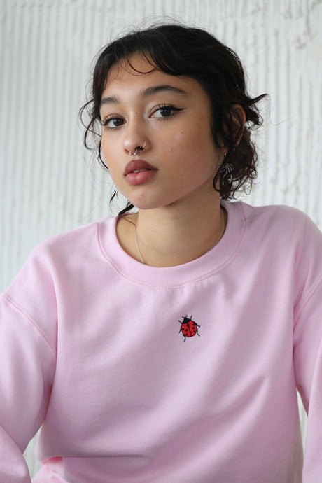 Mini Ladybird Sweater
