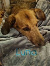 Load image into Gallery viewer, The Personalised Pet Blanket