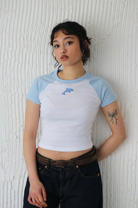 Pale Blue 90's Dolphin Raglan T-Shirt