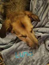 Load image into Gallery viewer, The Personalised Pet Blanket