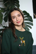 Load image into Gallery viewer, Deer and Robin sweater