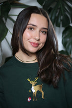 Load image into Gallery viewer, Deer and Robin sweater