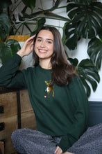 Load image into Gallery viewer, Deer and Robin sweater