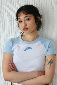 Pale Blue 90's Dolphin Raglan T-Shirt