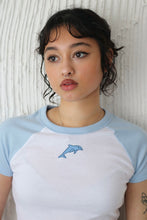 Load image into Gallery viewer, Pale Blue 90&#39;s Dolphin Raglan T-Shirt