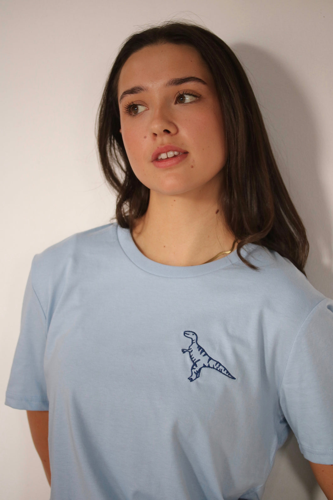 George the dinosaur embroidered organic t-shirt
