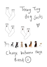 Load image into Gallery viewer, Dog socks