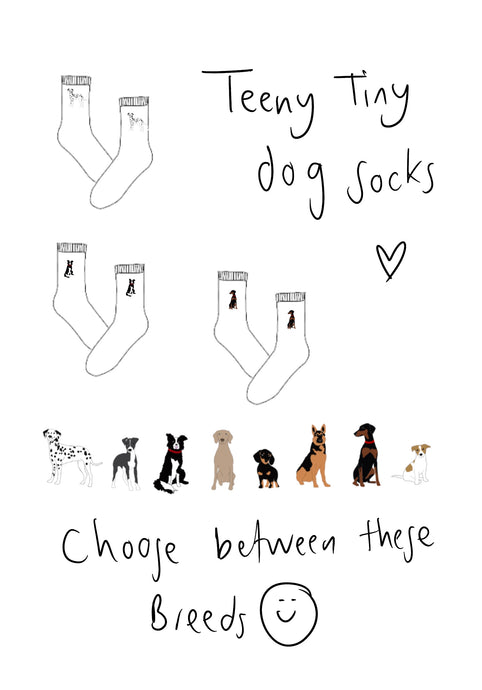 Dog socks