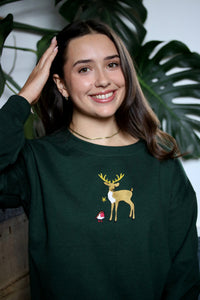 Deer and Robin sweater