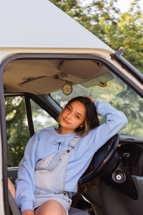 The Ames Dragonfly sweater