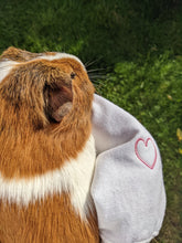 Load image into Gallery viewer, Guinea pig sweater