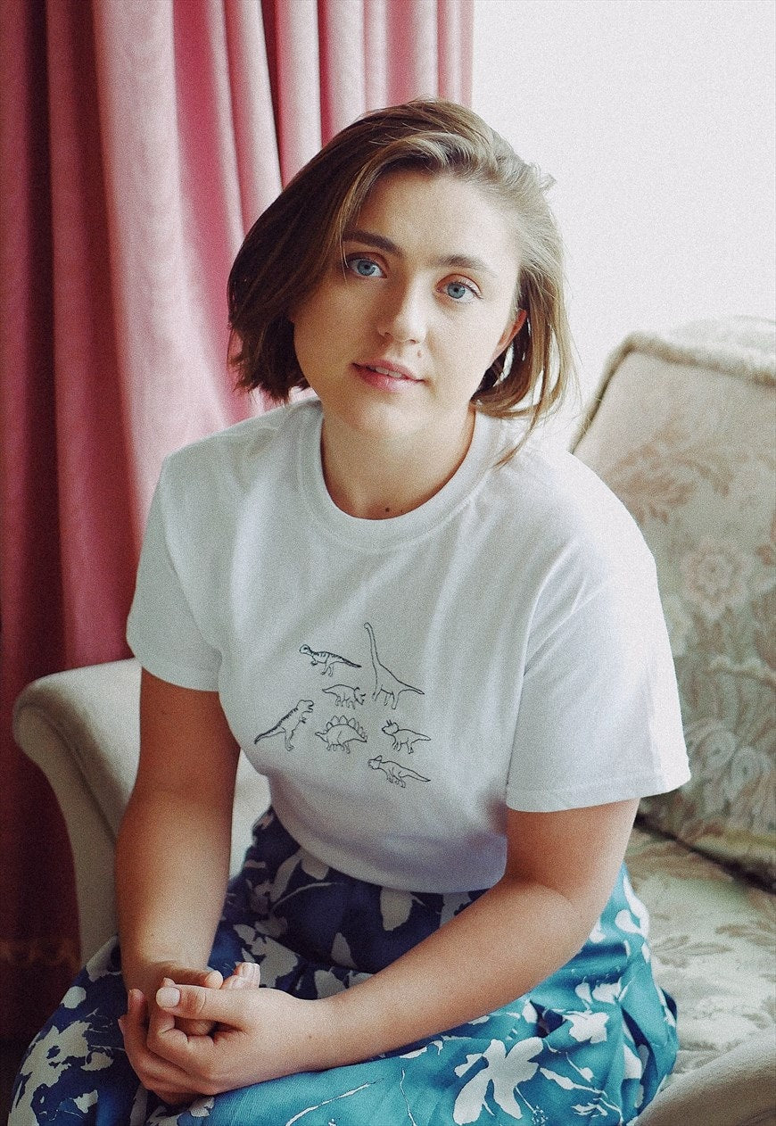 Multi dinosaur embroidered organic t-shirt,