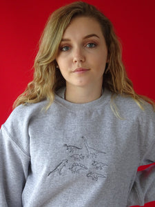 lots of Dinosaurs embroidered sweater