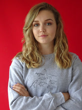 Load image into Gallery viewer, lots of Dinosaurs embroidered sweater