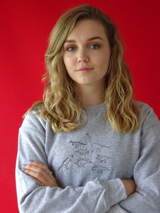 lots of Dinosaurs embroidered sweater