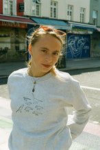 Load image into Gallery viewer, lots of Dinosaurs embroidered sweater